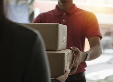 Portfolio picture template